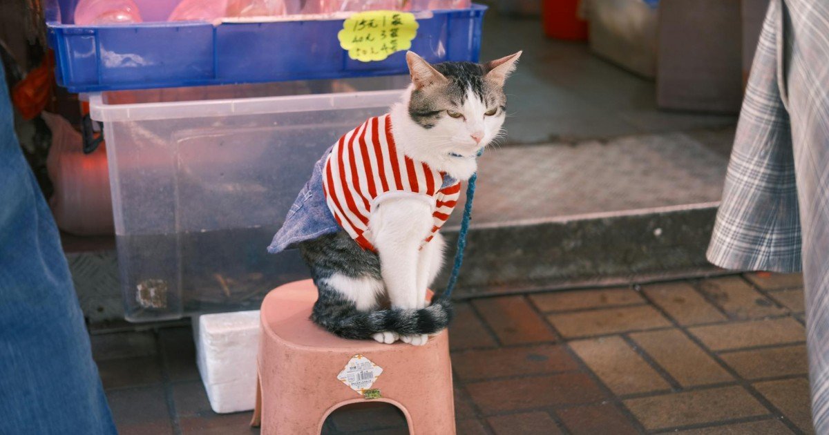 Сайт для зоомагазина