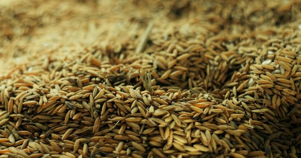 Сайт для фермерских продуктов и крафтового производства