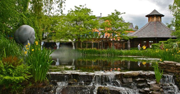 Сайт для ландшафтного дизайнера